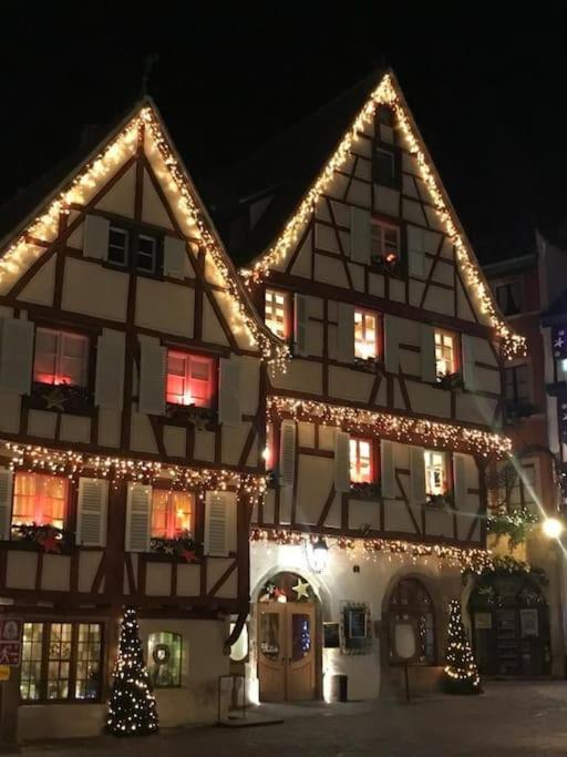 Colmar,Appart Chaleureux 2 Pas Centre Avec Jardin Buitenkant foto
