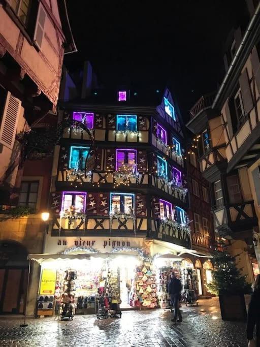 Colmar,Appart Chaleureux 2 Pas Centre Avec Jardin Buitenkant foto