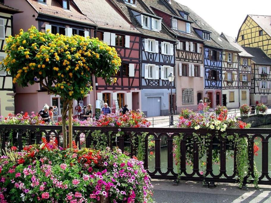 Colmar,Appart Chaleureux 2 Pas Centre Avec Jardin Buitenkant foto